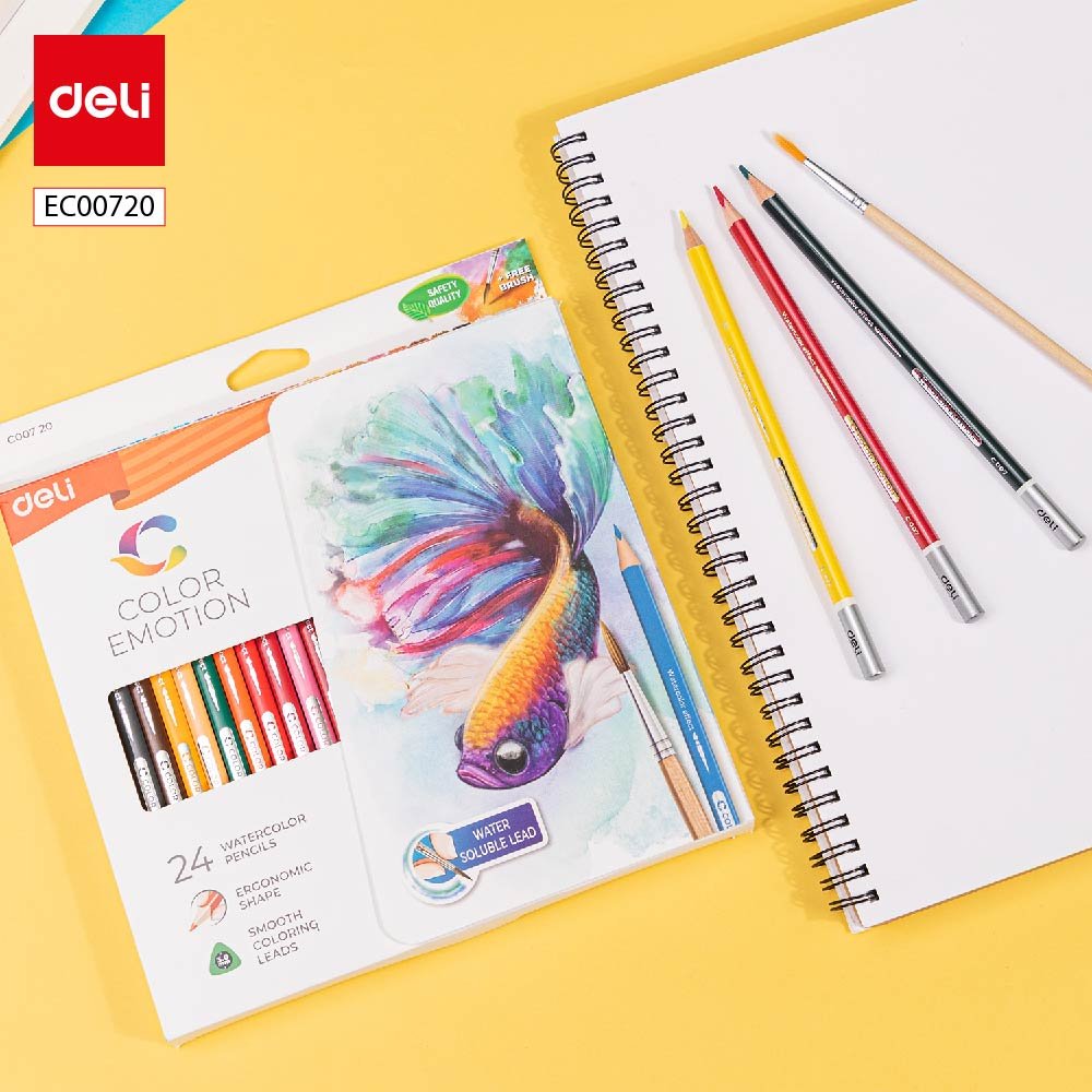 EC00720-1 ديلي أقلام تلوين خشب مائي طويل - 24 لون - EC00720